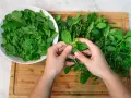 Mani che separano foglie di menta fresca, pronte per essere essiccate. Un cesto bianco pieno di menta è a sinistra, un mazzo su un tagliere di legno a destra.