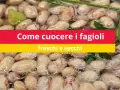 Fagioli borlotti che sobbollono in acqua, pronti per essere cucinati. Impara come cucinare i fagioli freschi e secchi.