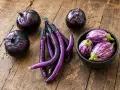 Melanzane tonde e lunghe, viola intenso e striate. Si dice che la differenza tra melanzane maschio e femmina sia nella forma, ma qui vediamo varietà diverse.