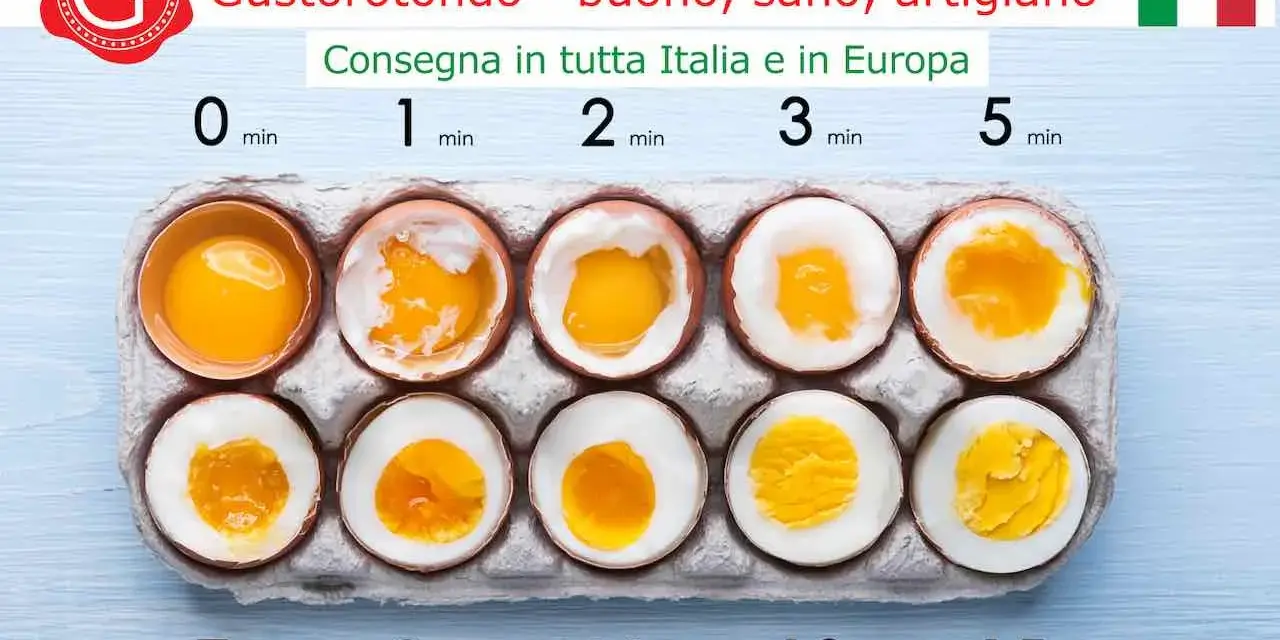 Guida visiva su come cucinare le uova: da crude a sode, con tempi di cottura da 0 a 15 minuti.