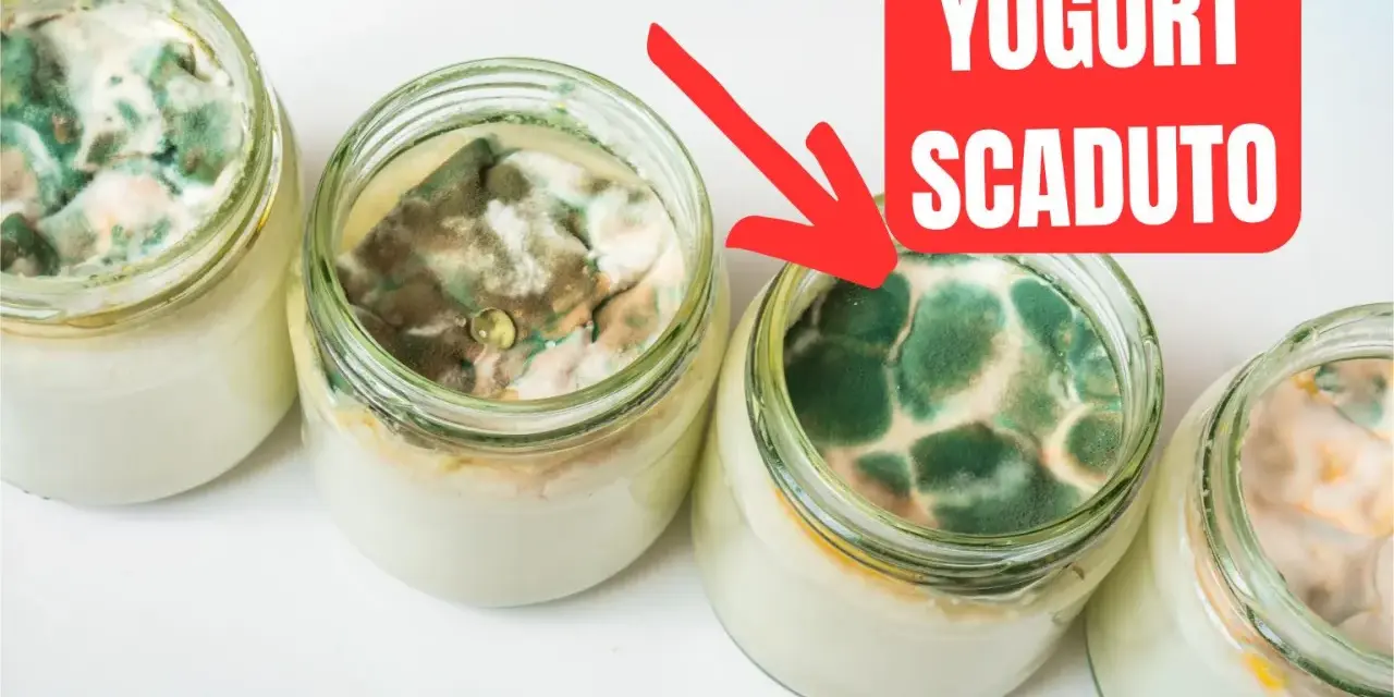 Barattoli di yogurt scaduto da 15 giorni, coperti da muffa verde e bianca. Un'immagine che mostra il deterioramento del cibo.