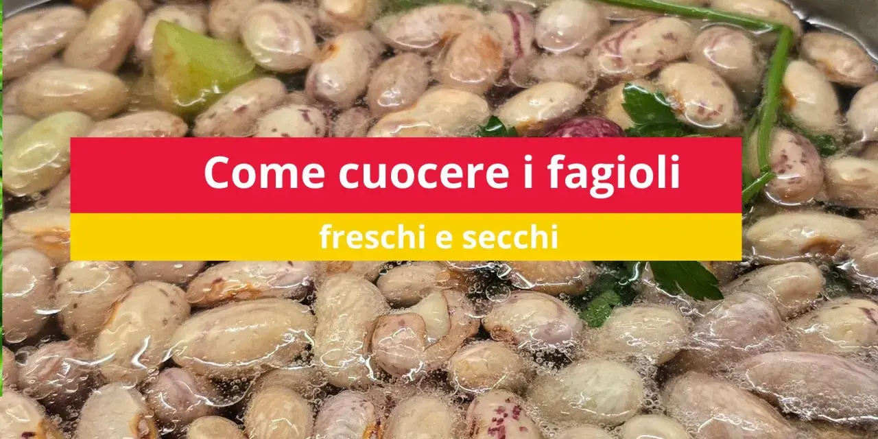 Fagioli borlotti che sobbollono in acqua, pronti per essere cucinati. Impara come cucinare i fagioli freschi e secchi.