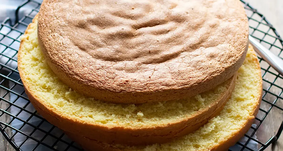 Due dischi di pan di spagna torta, uno sopra l'altro, su una griglia. La superficie è dorata e soffice, pronta per essere farcita.