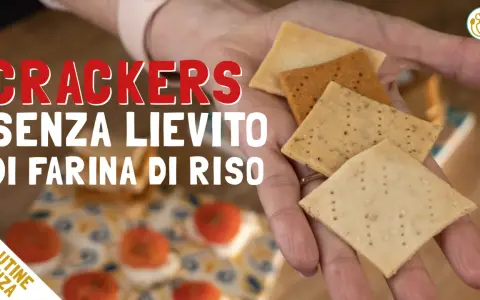 Cracker senza lievito di farina di riso, perfetti per ricette veloci e senza glutine.