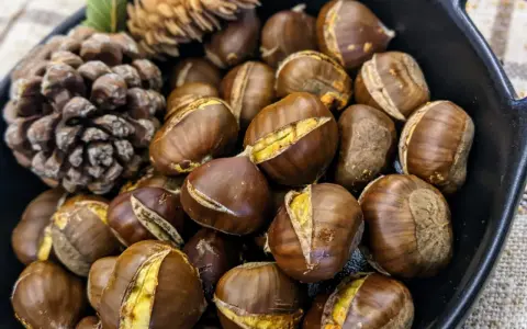 Castagne arrostite in padella, pronte per essere gustate. Scopri come cuocere le castagne congelate per un risultato perfetto.