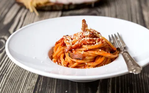 Piatto di spaghetti con sugo rosso, guanciale e formaggio grattugiato. Una gustosa ricetta originale amatriciana cipolla.