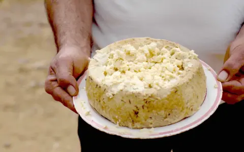 Formaggio con i vermi, una specialità sarda, viene tenuto su un piatto. La crosta è dorata e la parte superiore è sbriciolata.
