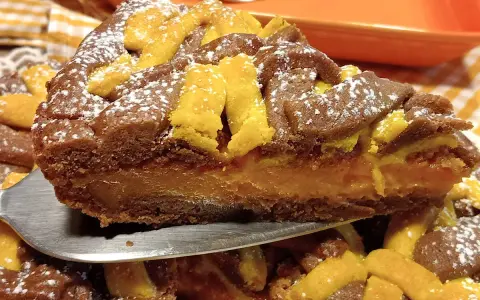 Fetta di torta con ripieno cremoso e decorazioni a griglia, uno dei tanti dolci con albicocche che invitano ad essere assaggiati.