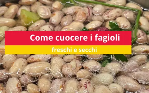 Fagioli borlotti che sobbollono in acqua, pronti per essere cucinati. Impara come cucinare i fagioli freschi e secchi.