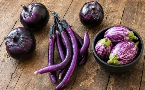 Melanzane tonde e lunghe, viola intenso e striate. Si dice che la differenza tra melanzane maschio e femmina sia nella forma, ma qui vediamo varietà diverse.