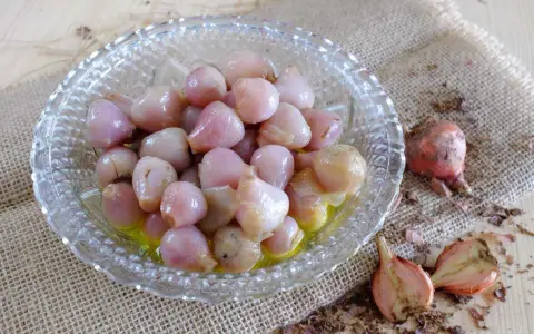 Lampascioni, piccoli bulbi rosa in una ciotola di vetro, sono un sapore pugliese da scoprire.
