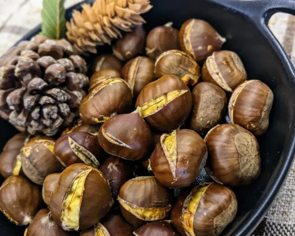 Castagne arrostite in padella, pronte per essere gustate. Scopri come cuocere le castagne congelate per un risultato perfetto.