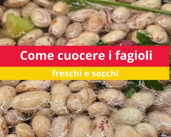 Fagioli borlotti che sobbollono in acqua, pronti per essere cucinati. Impara come cucinare i fagioli freschi e secchi.
