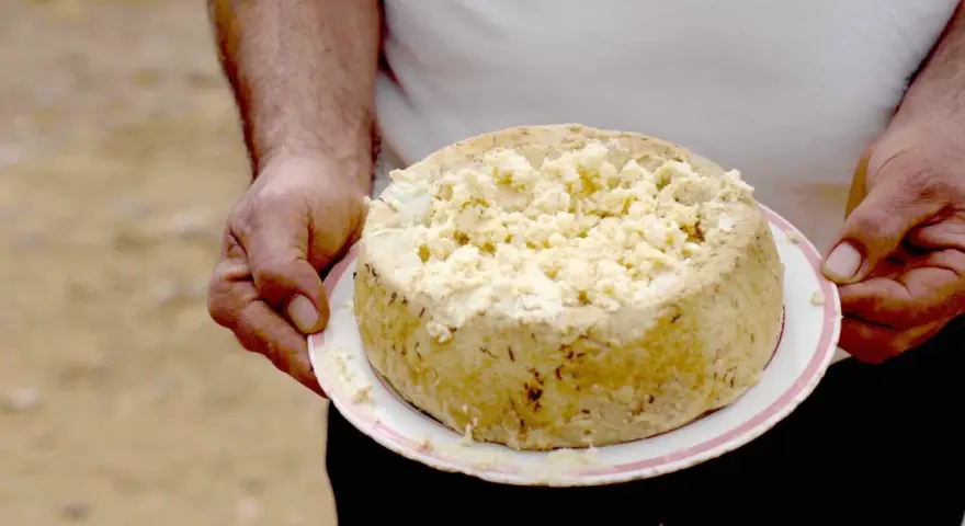 Formaggio con i vermi, una specialità sarda, viene tenuto su un piatto. La crosta è dorata e la parte superiore è sbriciolata.