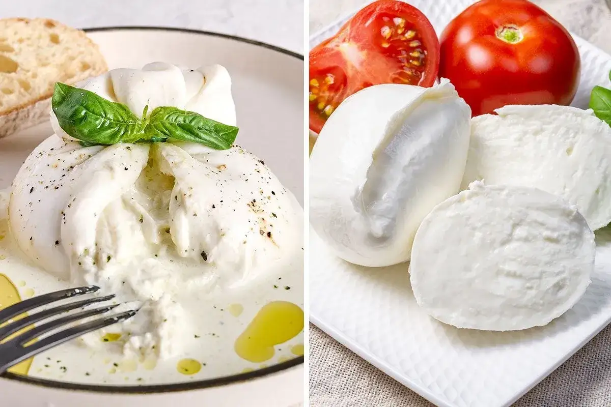 Burrata cremosa e mozzarella compatta: la differenza tra i due formaggi freschi, con pomodori e pane.