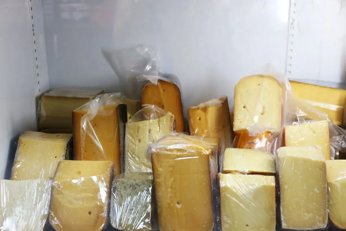 Vari tipi di formaggi confezionati singolarmente, pronti per essere conservati in frigo.
