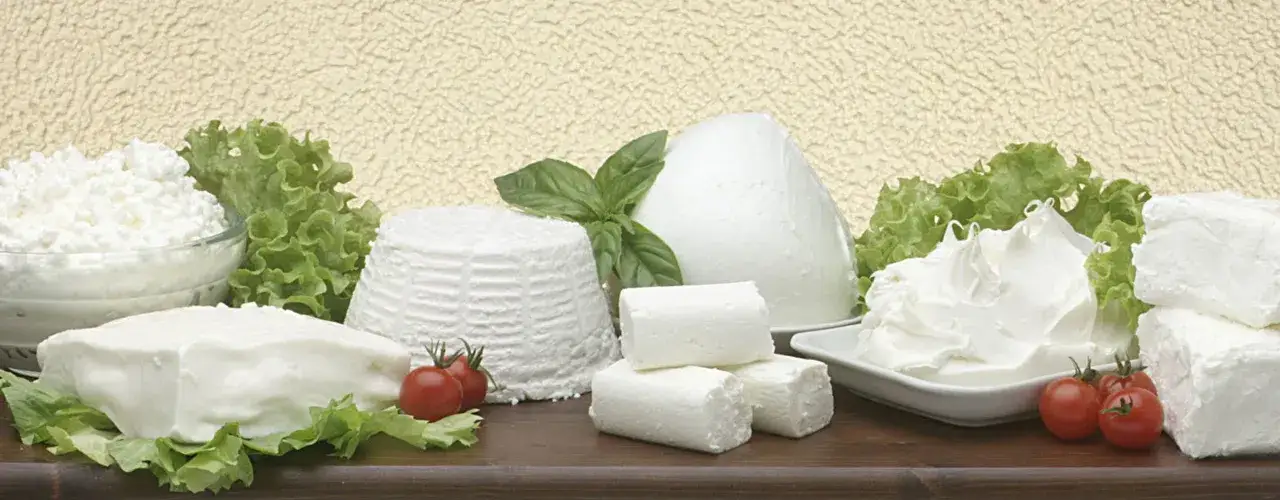 Variet&agrave; di quali sono i formaggi freschi: ricotta, caprino, fiocchi di latte e formaggio spalmabile, decorati con lattuga e pomodorini.