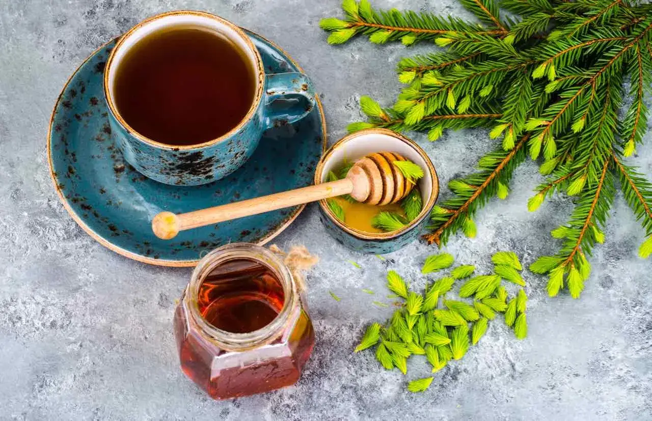 Tazza di tè, miele in un vasetto e in una ciotola con un mestolo, aghi di pino. La differenza tra miele e melata è visibile.